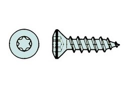 Torx, Vollgewinde, verzinkt