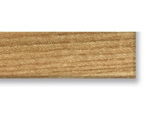Rüster geschliffen Kante Furnier SK 24x0,5mm 50m