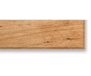 europäische Erle geschliffen Furnierkante 24x2mm 50m