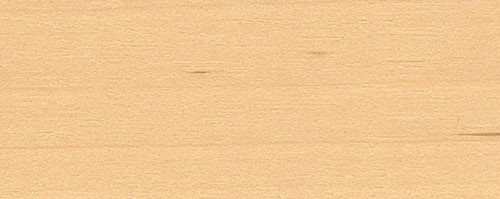Birke geschliffen Furnierkante 24x2mm 50m