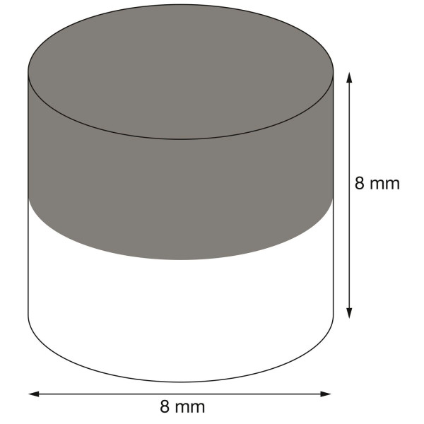 Scheibenmagnet Ø 8 mm, Höhe 8 mm