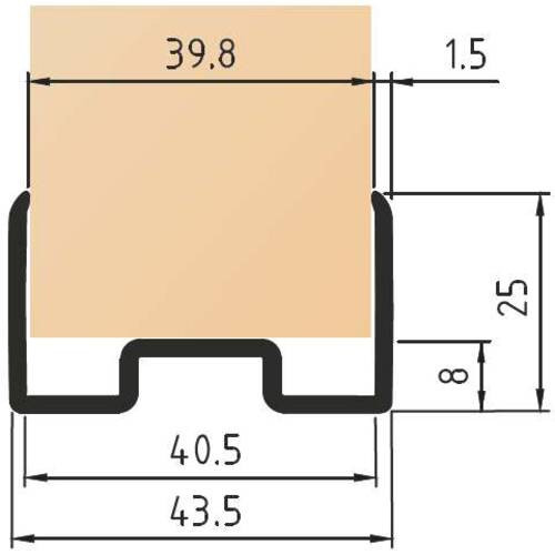 Wangenprofil, 40 mm, Edelstahlfarbig, 250 cm