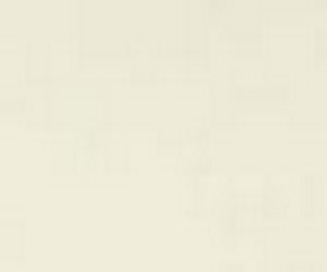 Weichwachs grauweiß RAL 9002