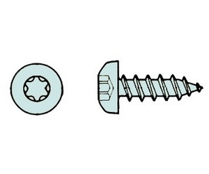 3,0 x 12mm TX10 PAN HEAD Vollgewinde (200 St.)