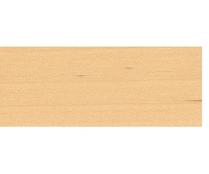 Birke geschliffen Furnierkante 24x2mm 50m