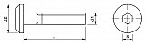 Flachkopfschraube M6x 60 Güte 4.8 verzinkt mit ISK SW 4